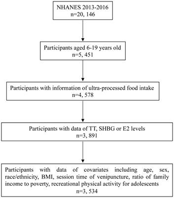 Ultra-processed foods intake and sex hormone levels among children and adolescents aged 6–19 years: a cross-sectional study